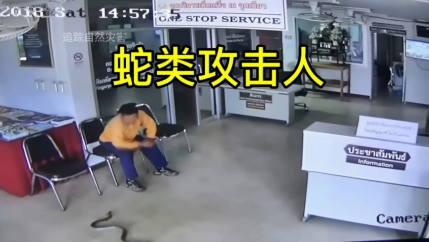 两位副国级参加公祭轩辕黄帝典礼,白小姐四肖期期准预测方法,完美答案解释落实_影像版V5.23